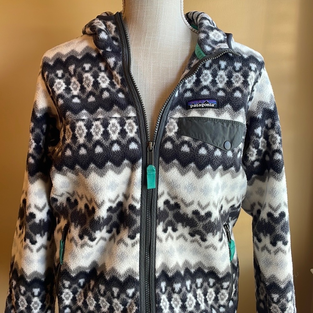 Patagonia hooded Zip-Up